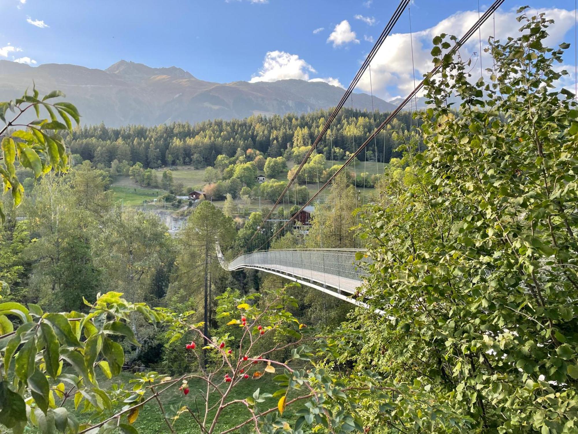 Walliser Stadel * Fieschertal