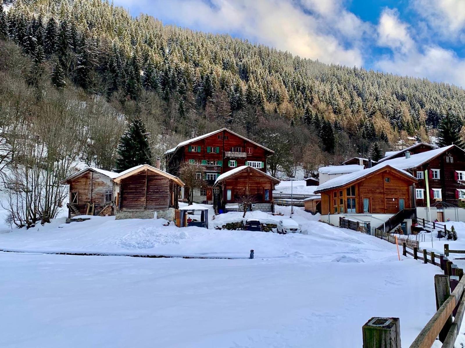 Walliser Stadel Fieschertal