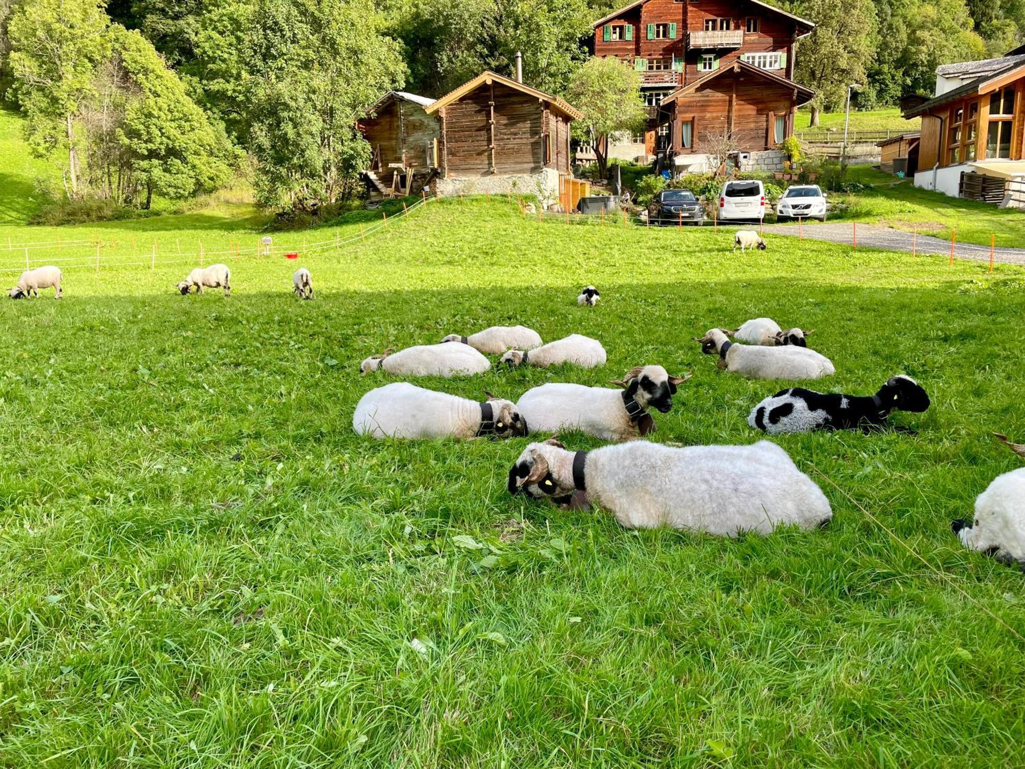 Walliser Stadel Hébergement de vacances