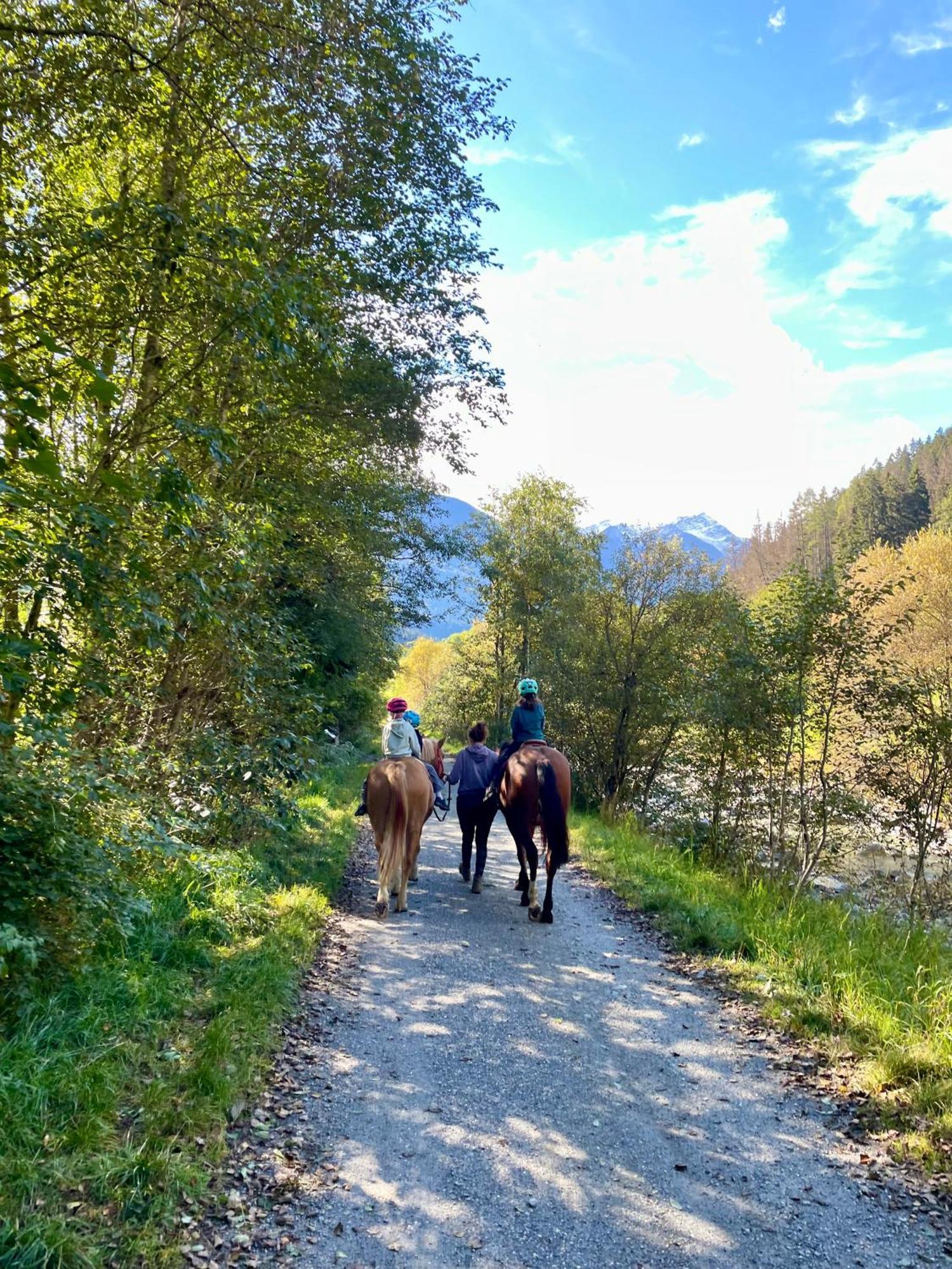 Walliser Stadel * Fieschertal